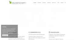 Desktop Screenshot of naturstensgruppen.dk